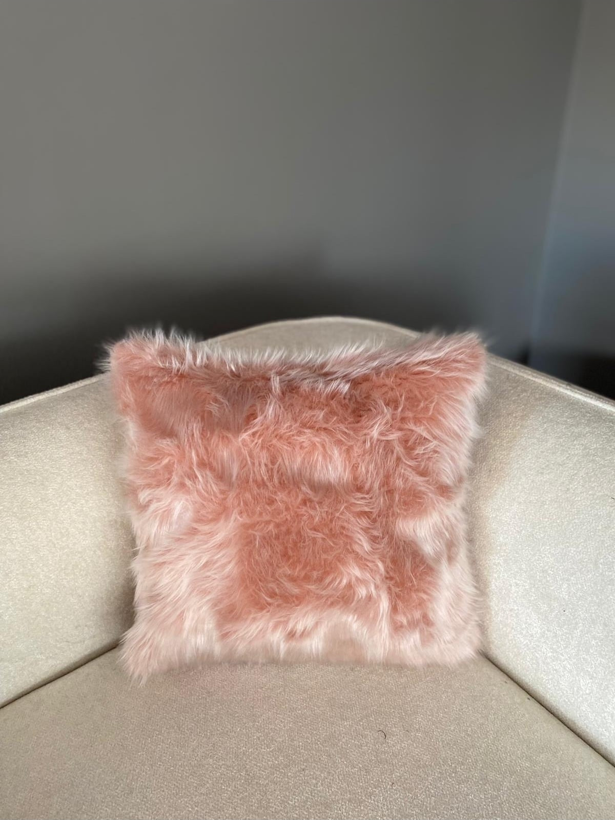 Arvely Plush Square Pillow